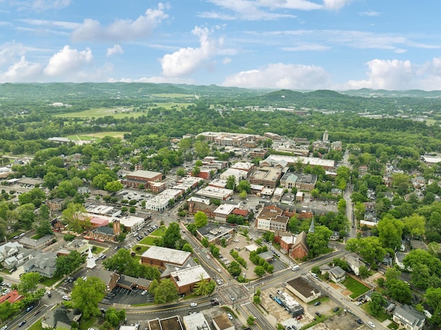 1224 Adams St, Franklin, TN 37064 - drone / aerial view of a mountainous background