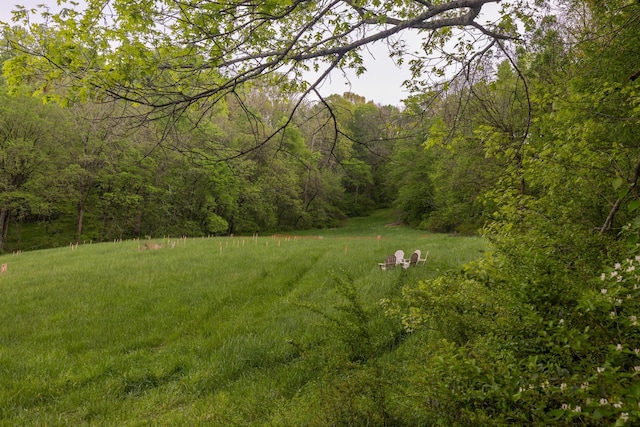 0 Sweeney Hollow Rd, Franklin, TN 37064