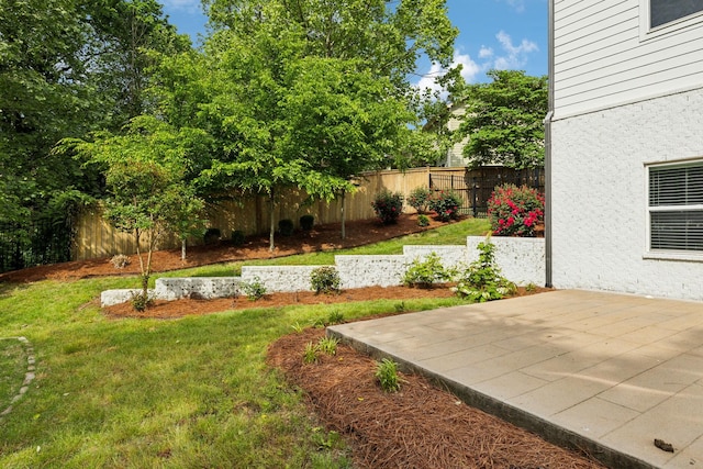view of yard featuring a patio area