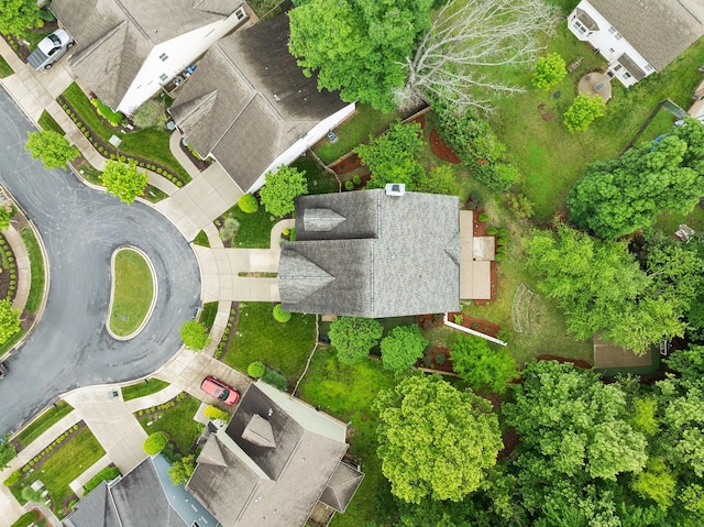 bird's eye view