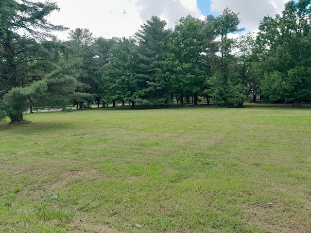 view of grassy yard