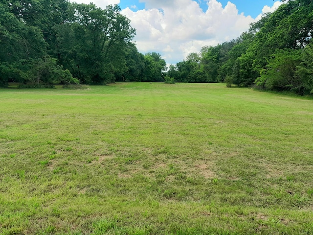 view of green lawn with a view of trees