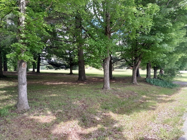 view of grassy yard