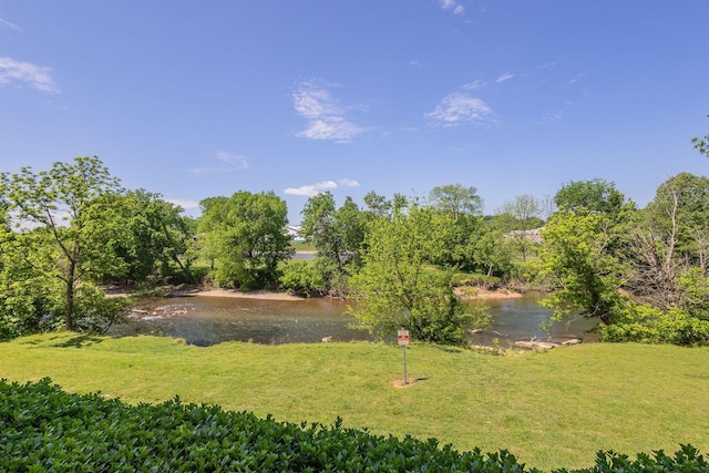 1410 Hurley Dr Unit 103, Sevierville, TN 37862 - view of green lawn
