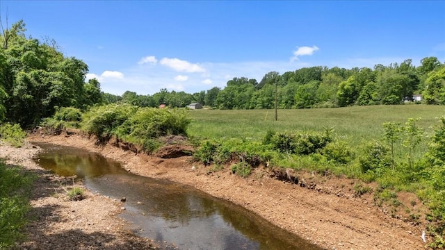 0 Trace Creek Rd, Waverly, TN 37185