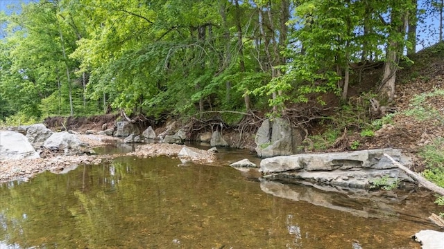 0 Trace Creek Rd, Waverly, TN 37185