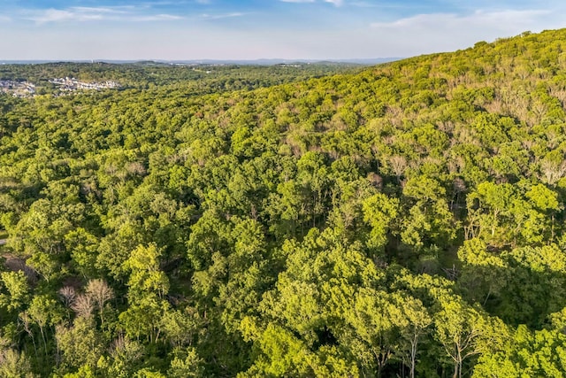 0 Sanford Rd, Nolensville, TN 37135