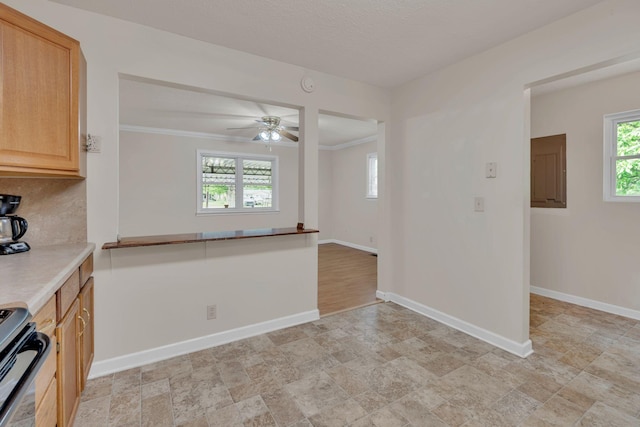 kitchen with stove, baseboards, electric panel, crown molding, and ceiling fan