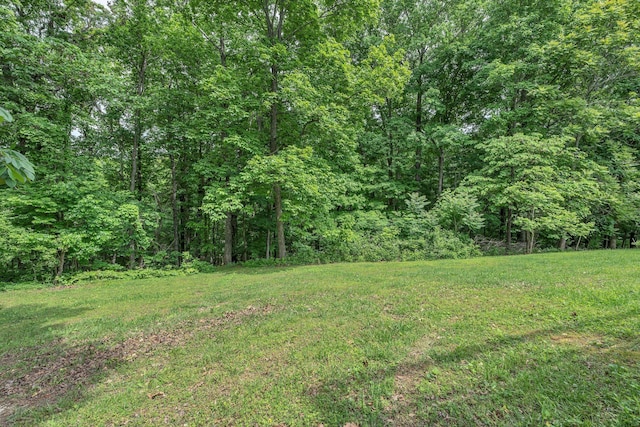 view of green lawn featuring a view of trees