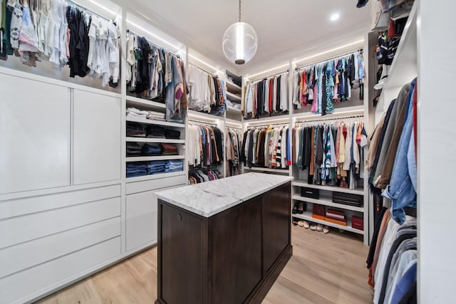 12 Middleton Park Ln, Nashville, TN 37215 - spacious closet with light wood-style floors