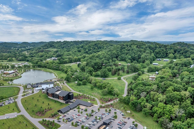 2033 Carters Creek Pike, Franklin, TN 37064 - drone / aerial view of a large body of water and a forest