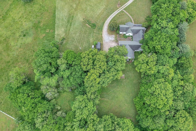 2033 Carters Creek Pike, Franklin, TN 37064 - aerial view of property's location