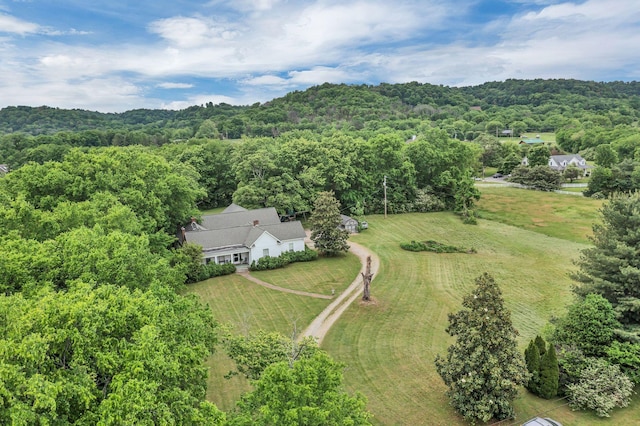 2033 Carters Creek Pike, Franklin, TN 37064 - aerial view of property and surrounding area with a forest
