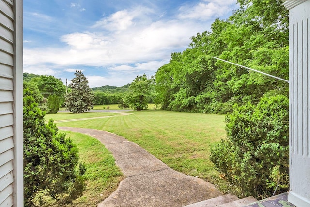 2033 Carters Creek Pike, Franklin, TN 37064 - view of green lawn