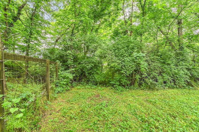 2033 Carters Creek Pike, Franklin, TN 37064 - view of yard with a forest view