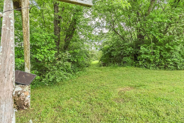 2033 Carters Creek Pike, Franklin, TN 37064 - view of yard
