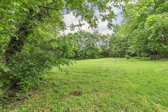 2033 Carters Creek Pike, Franklin, TN 37064 - view of grassy yard featuring a view of trees
