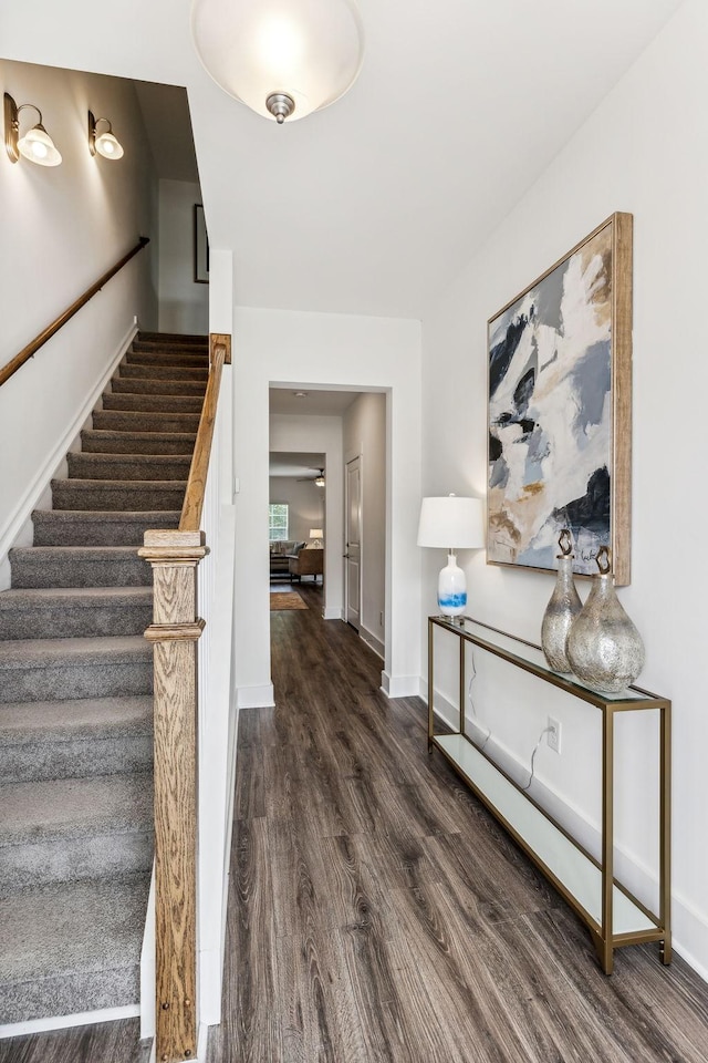 1115 Sweetleaf Dr, Franklin, TN 37064 - entryway with wood finished floors, stairs, ceiling fan, and baseboards
