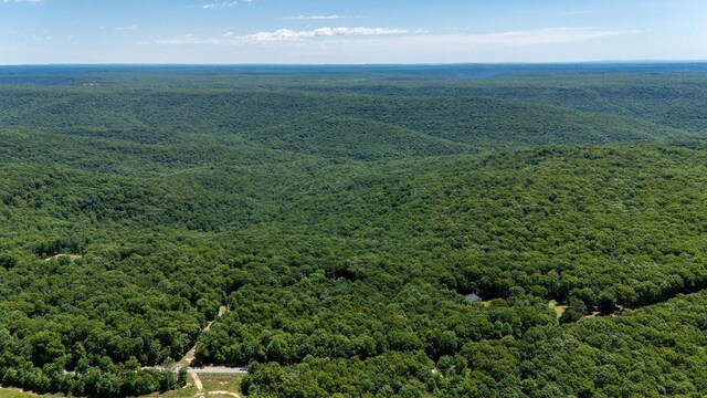 154 Whitetail Ln, Belvidere, TN 37306 - bird's eye view of a heavily wooded area