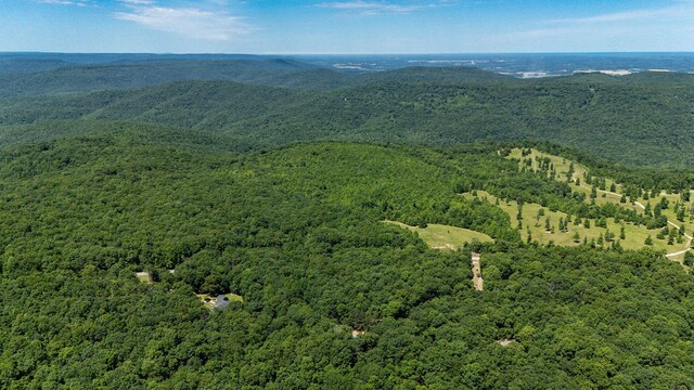 154 Whitetail Ln, Belvidere, TN 37306 - drone / aerial view of a heavily wooded area