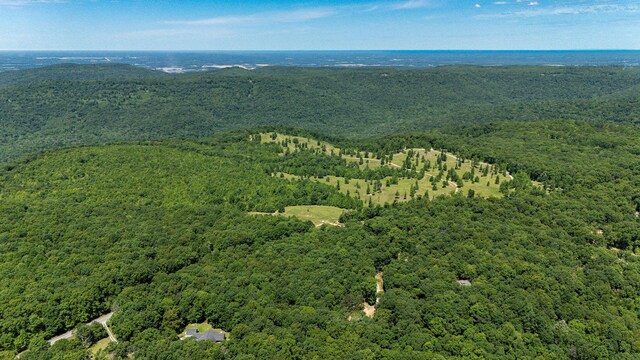 154 Whitetail Ln, Belvidere, TN 37306 - bird's eye view of a heavily wooded area