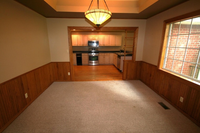 603 Canterbury Trl, Mount Juliet, TN 37122 - kitchen with stainless steel appliances, wooden walls, wainscoting, a sink, and light carpet