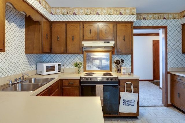 kitchen featuring black electric range oven, white microwave, a sink, under cabinet range hood, and light countertops