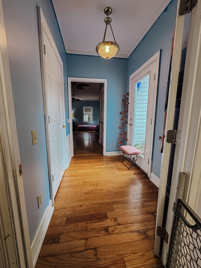 209 Main St, Cumberland City, TN 37050 - corridor with light wood-type flooring and baseboards