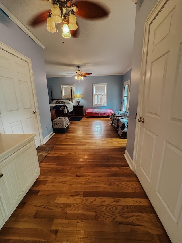 209 Main St, Cumberland City, TN 37050 - hallway with ornamental molding, dark wood-type flooring, and baseboards