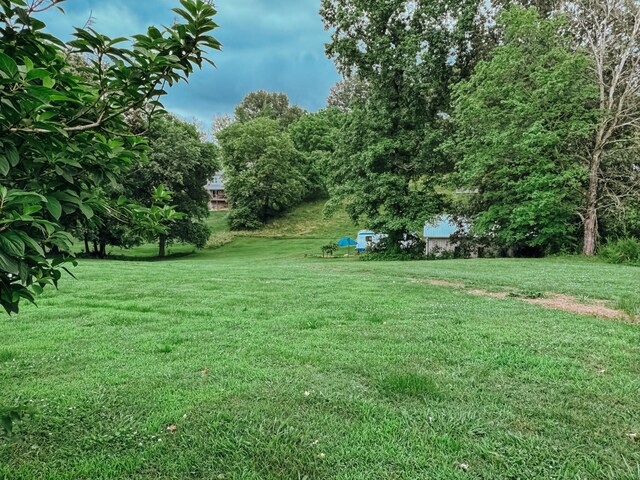 209 Main St, Cumberland City, TN 37050 - view of grassy yard