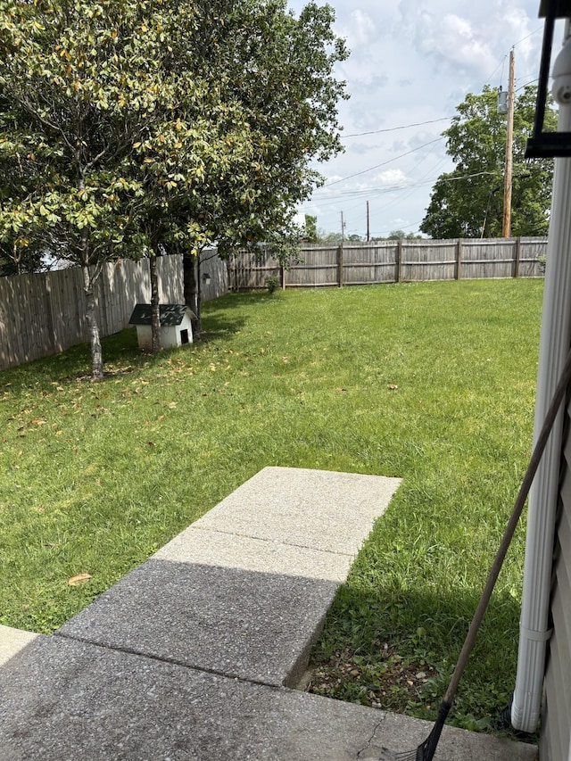 view of yard featuring a patio area