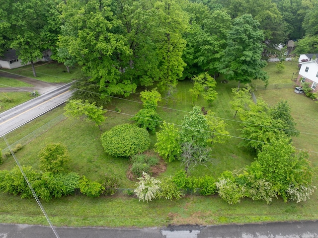 103 Forrest Hills Dr, Dickson, TN 37055 - drone / aerial view
