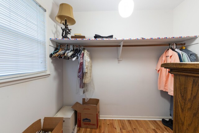 103 Forrest Hills Dr, Dickson, TN 37055 - walk in closet featuring wood finished floors