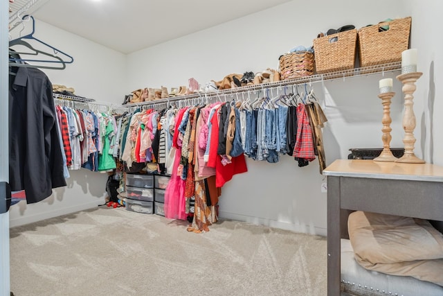 spacious closet featuring carpet