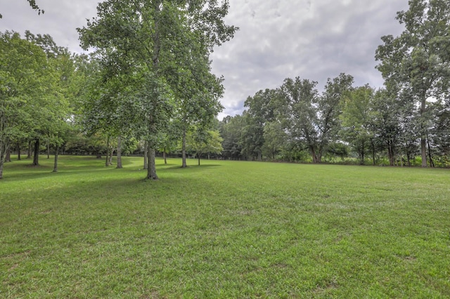 118 Robert Simmons Rd, Westmoreland, TN 37186 - photo 45