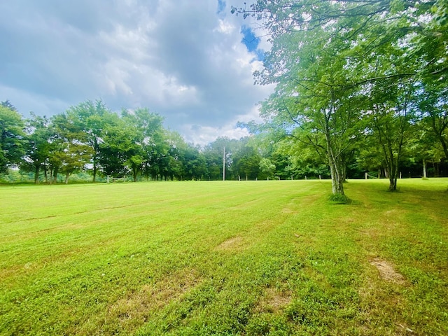 118 Robert Simmons Rd, Westmoreland, TN 37186 - photo 78