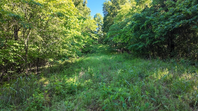 3 Angels Cove Ln, Lebanon, TN 37087