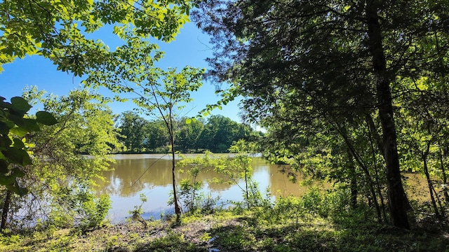 3 Angels Cove Ln, Lebanon, TN 37087