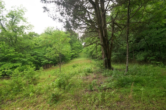 2 Angels Cove Ln, Lebanon, TN 37087