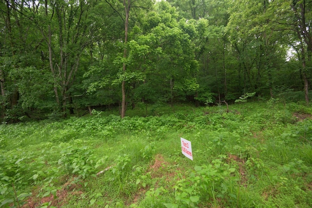 2 Angels Cove Ln, Lebanon, TN 37087