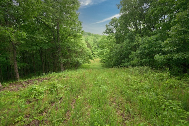 2 Angels Cove Ln, Lebanon, TN 37087