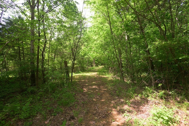 2 Angels Cove Ln, Lebanon, TN 37087
