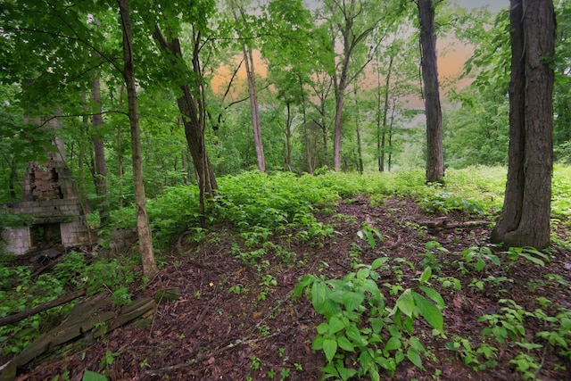 2 Angels Cove Ln, Lebanon, TN 37087