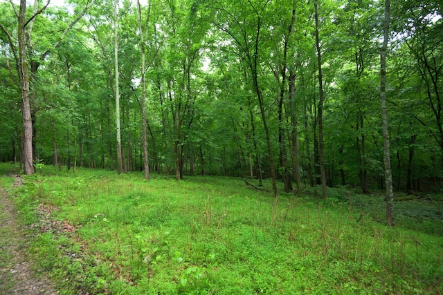2 Angels Cove Ln, Lebanon, TN 37087
