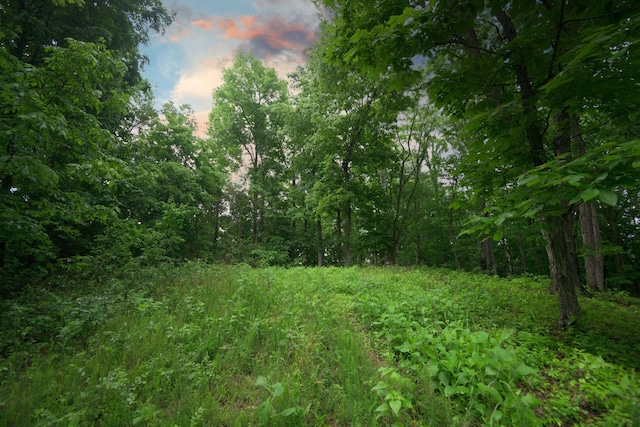 2 Angels Cove Ln, Lebanon, TN 37087