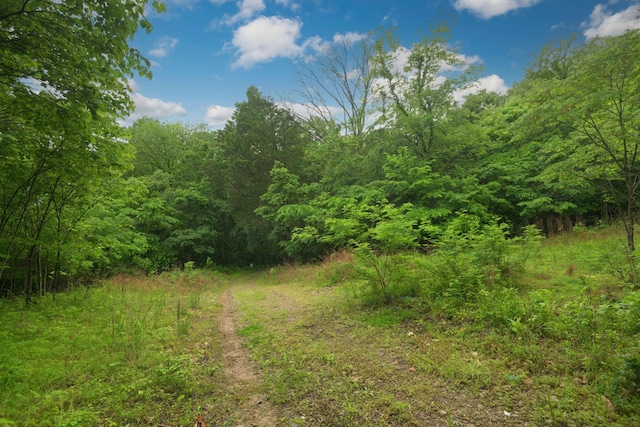 2 Angels Cove Ln, Lebanon, TN 37087