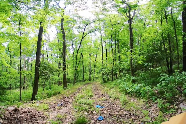 2 Angels Cove Ln, Lebanon, TN 37087