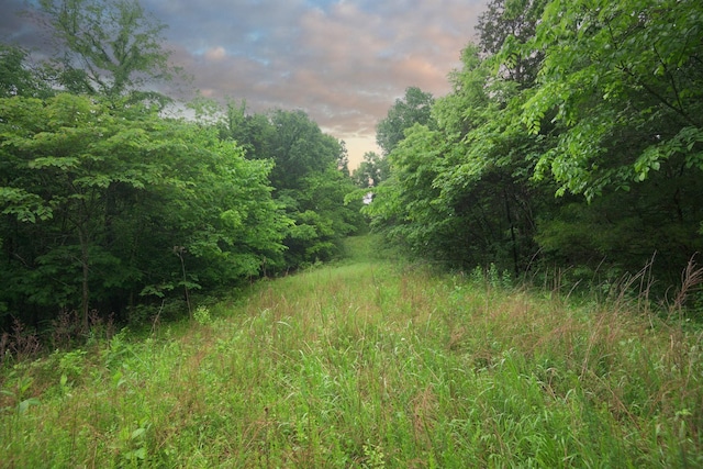 2 Angels Cove Ln, Lebanon, TN 37087