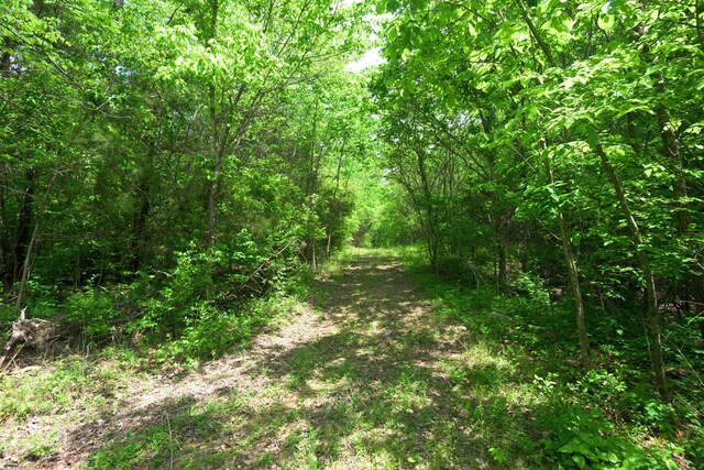 2 Angels Cove Ln, Lebanon, TN 37087
