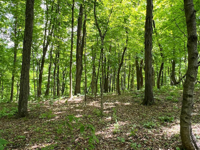 2 Angels Cove Ln, Lebanon, TN 37087